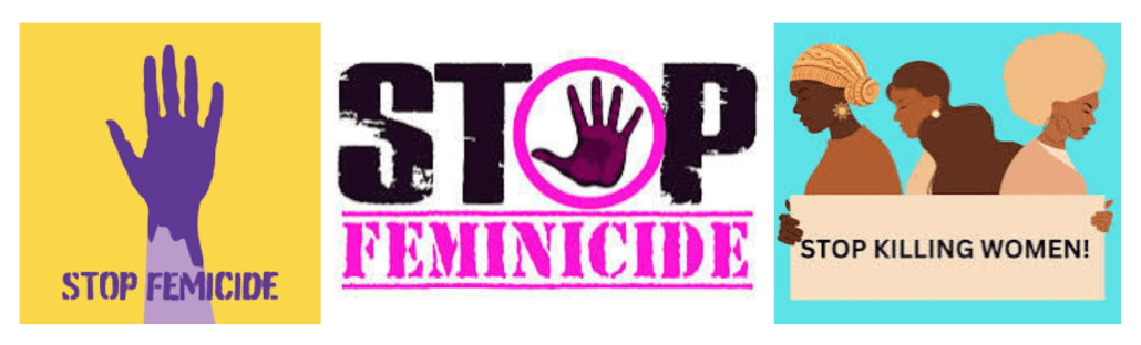 Stop Femicide Banner